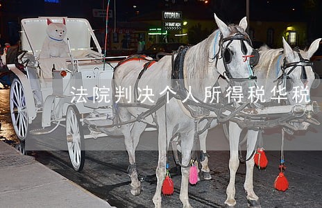 法院判决个人所得税华税 法院判决个人所得税华税