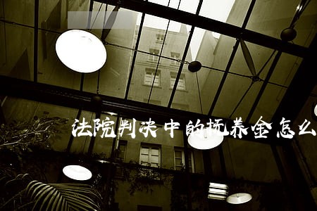 法院判决中的抚养金怎么计算 法院判决中的抚养金怎么计算