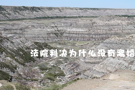 法院判决为什么没有离婚证 法院判决为什么没有离婚证