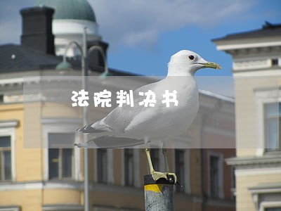 法院判决书