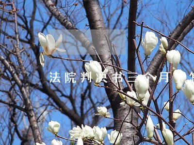 法院判决书三个月了怎么还不下来