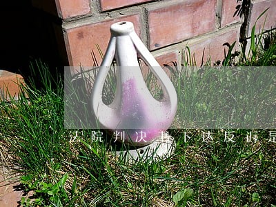 法院判决书下达反诉是告法院吗 法院判决书下达反诉是告法院吗