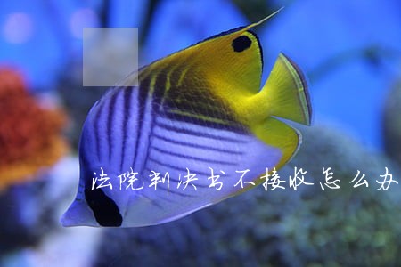 法院判决书不接收怎么办 法院判决书不接收怎么办