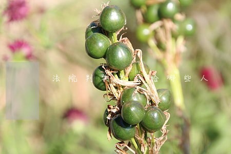 法院判决书会给哪些人 法院判决书会给哪些人