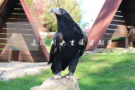 法院判决书保留期限