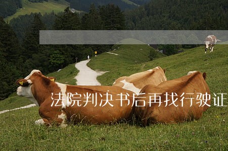 法院判决书后再找行驶证 法院判决书后再找行驶证