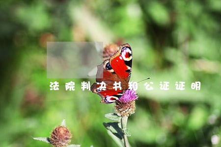 法院判决书和公证证明 法院判决书和公证证明