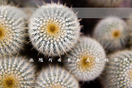 法院判决书和废纸的区别 法院判决书和废纸的区别