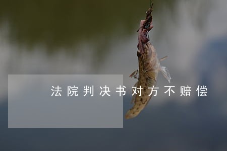 法院判决书对方不赔偿
