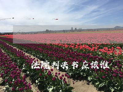 法院判决书应该谁 法院判决书应该谁