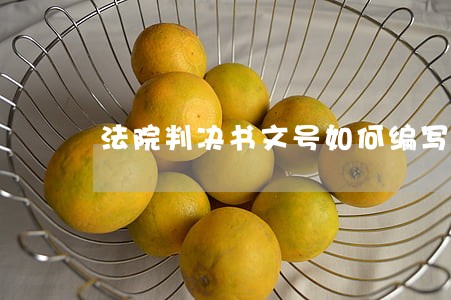 法院判决书文号如何编写 法院判决书文号如何编写