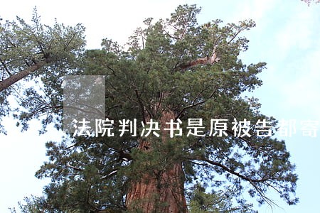 法院判决书是原被告都寄吗 法院判决书是原被告都寄吗