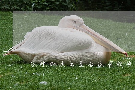 法院判决书是合法有效凭证 法院判决书是合法有效凭证