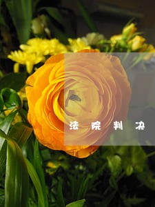 法院判决书有没有期限 法院判决书有没有期限