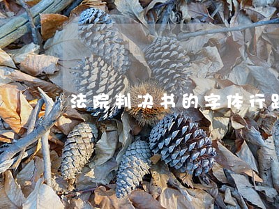 法院判决书的字体行距格式要求