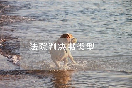 法院判决书类型 法院判决书类型