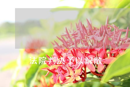 法院判决予以解散 法院判决予以解散