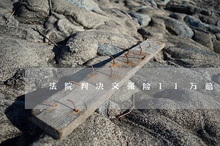 法院判决交强险11万赔偿范围 法院判决交强险11万赔偿范围