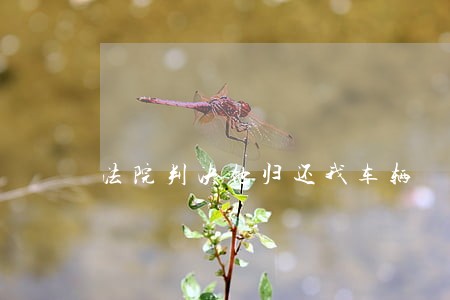 法院判决他归还我车辆 法院判决他归还我车辆