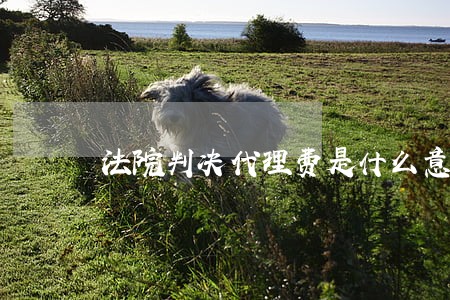 法院判决代理费是什么意思