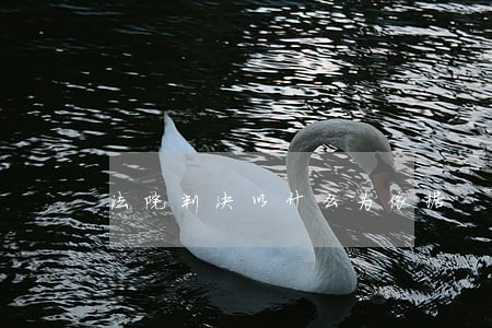 法院判决以什么为依据 法院判决以什么为依据