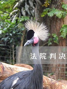 法院判决份额如何执行 法院判决份额如何执行