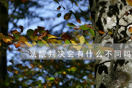 法院判决会有什么不同吗 法院判决会有什么不同吗