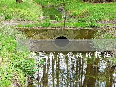 法院判决债权的转让 法院判决债权的转让