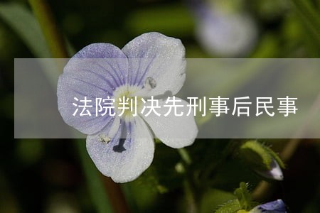 法院判决先刑事后民事 法院判决先刑事后民事