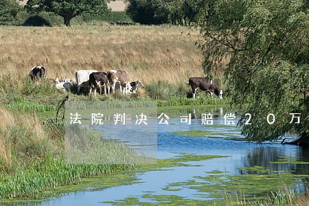 法院判决公司赔偿20万已生效 法院判决公司赔偿20万已生效