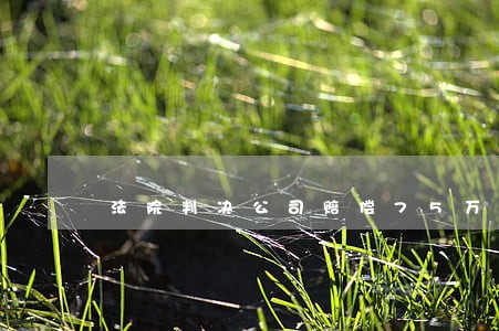 法院判决公司赔偿75万 法院判决公司赔偿75万