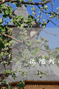 法院判决公司赔偿欠款 法院判决公司赔偿欠款