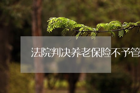 法院判决养老保险不予管理 法院判决养老保险不予管理