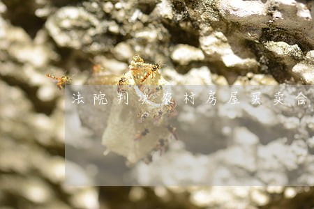 法院判决农村房屋买卖合同有效 法院判决农村房屋买卖合同有效
