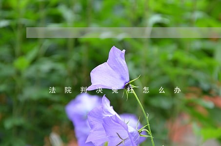 法院判决冤枉怎么办 法院判决冤枉怎么办