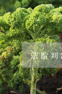 法院判决减刑最多是 法院判决减刑最多是