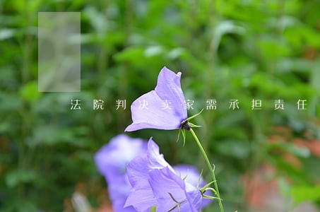 法院判决卖家需承担责任 法院判决卖家需承担责任