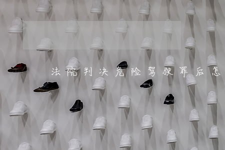 法院判决危险驾驶罪后怎么办