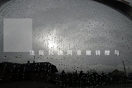法院判决同意撤销赠与 法院判决同意撤销赠与