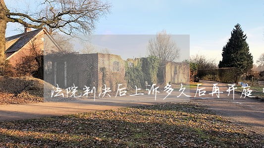 法院判决后上诉多久后再开庭 法院判决后上诉多久后再开庭