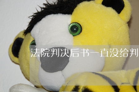法院判决后书一直没给判决书 法院判决后书一直没给判决书