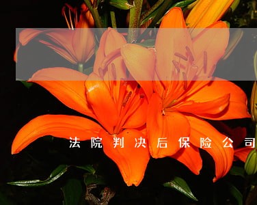 法院判决后保险公司拿了钱 法院判决后保险公司拿了钱