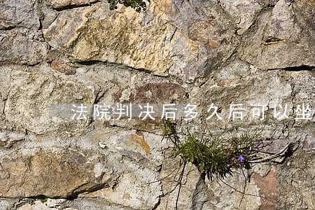 法院判决后多久后可以坐牢 法院判决后多久后可以坐牢