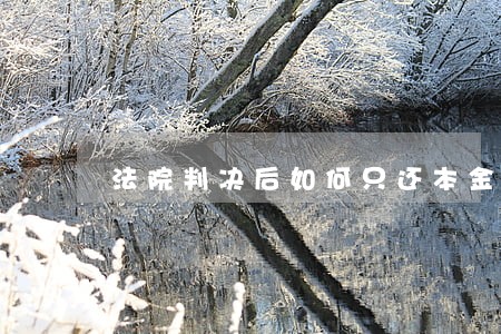 法院判决后如何只还本金