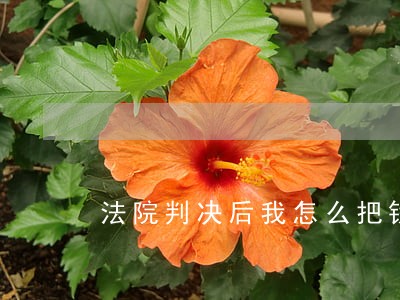 法院判决后我怎么把钱交与原告 法院判决后我怎么把钱交与原告