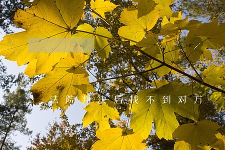 法院判决后找不到对方 法院判决后找不到对方