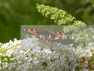 法院判决后担保人怎样免责 法院判决后担保人怎样免责