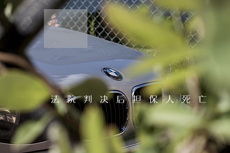 法院判决后担保人死亡 法院判决后担保人死亡