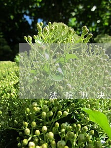 法院判决后还不起分期 法院判决后还不起分期
