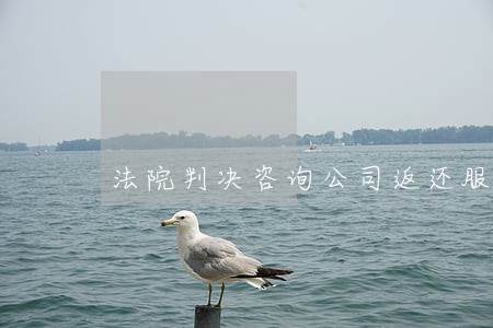 法院判决咨询公司返还服务费 法院判决咨询公司返还服务费